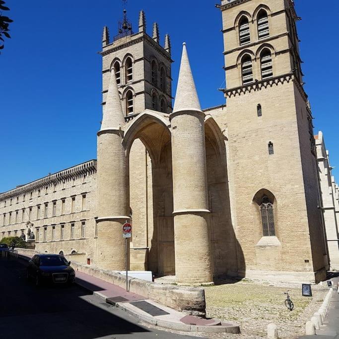 Appartement Cosy Et Calme - Centre Historique Μονπελιέ Εξωτερικό φωτογραφία